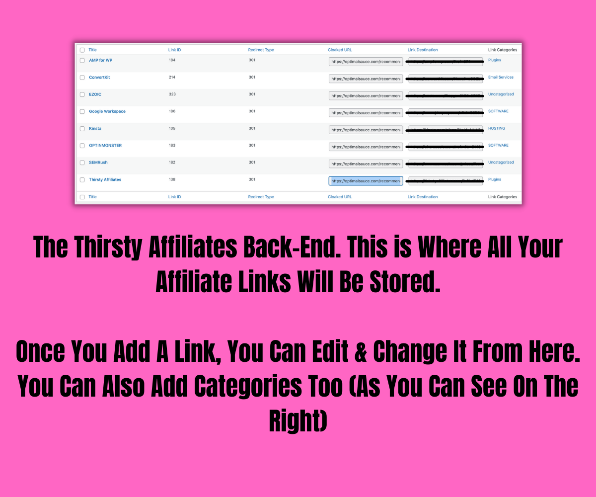 How To Track & Manage Affiliate Links (The Easy Way)